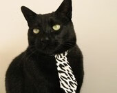 “青训+产业”融合创新,行业发展突破瓶颈迈上新台阶