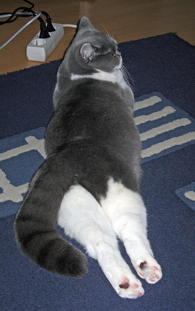 FB体育APP-山地骑行穿越挑战赛，畅游山林的极速盛宴，山地车越野骑行视频