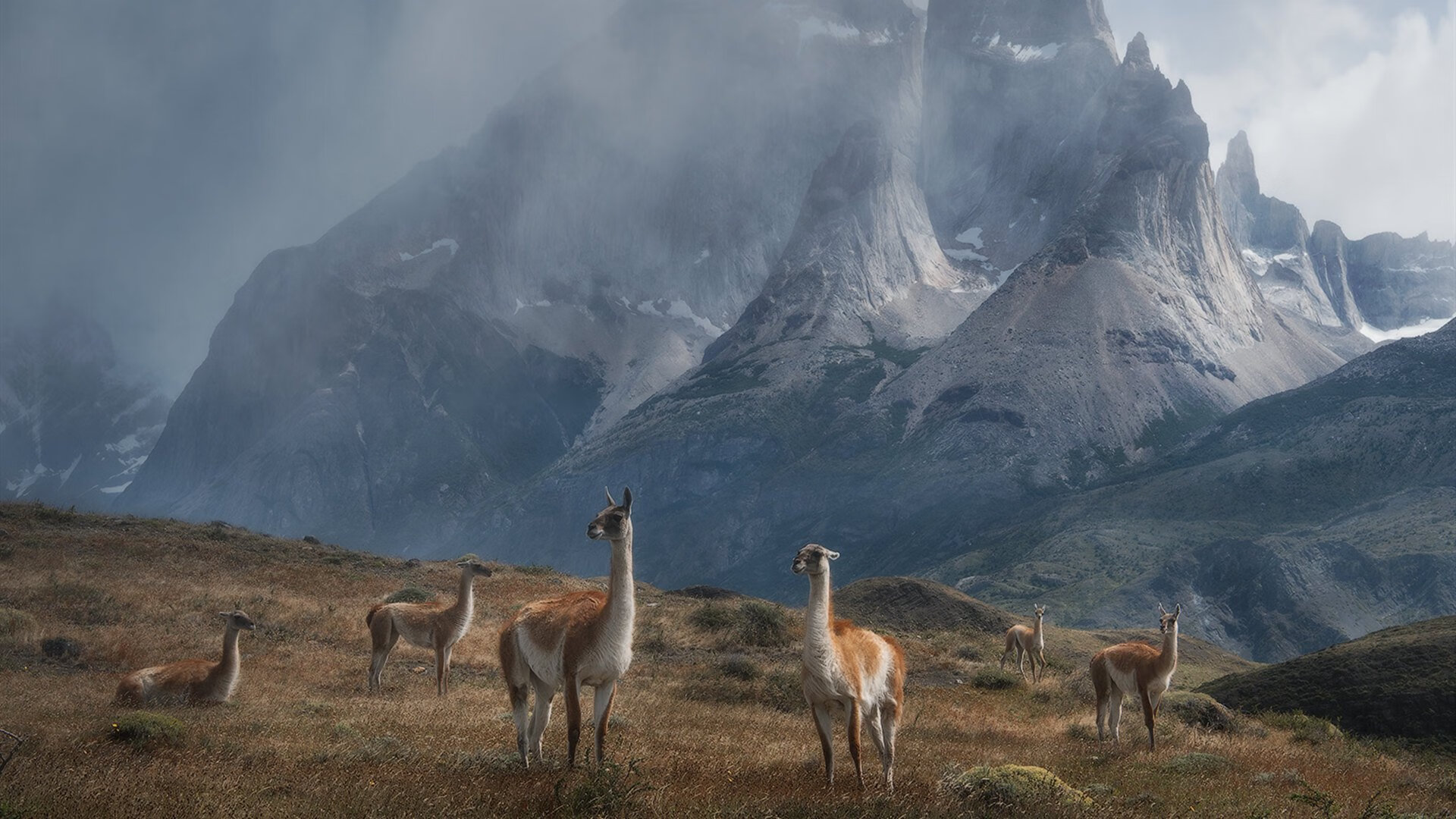 FB体育在线-炉石传说年度邀请赛精彩纷呈，策略比拼巅峰对决，炉石年度盛典