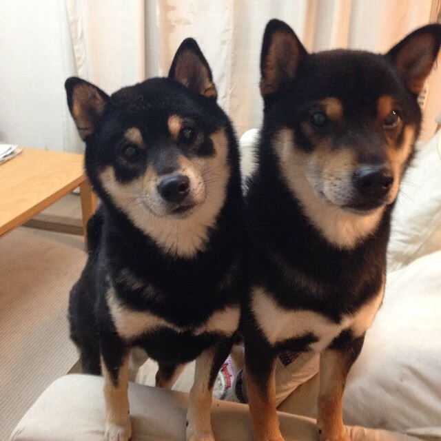 EDG选手转会市场动态，edg选手转会市场动态图