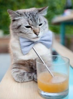 奥格斯堡设法在对阵汉堡的比赛中取胜,奥格斯堡对门兴