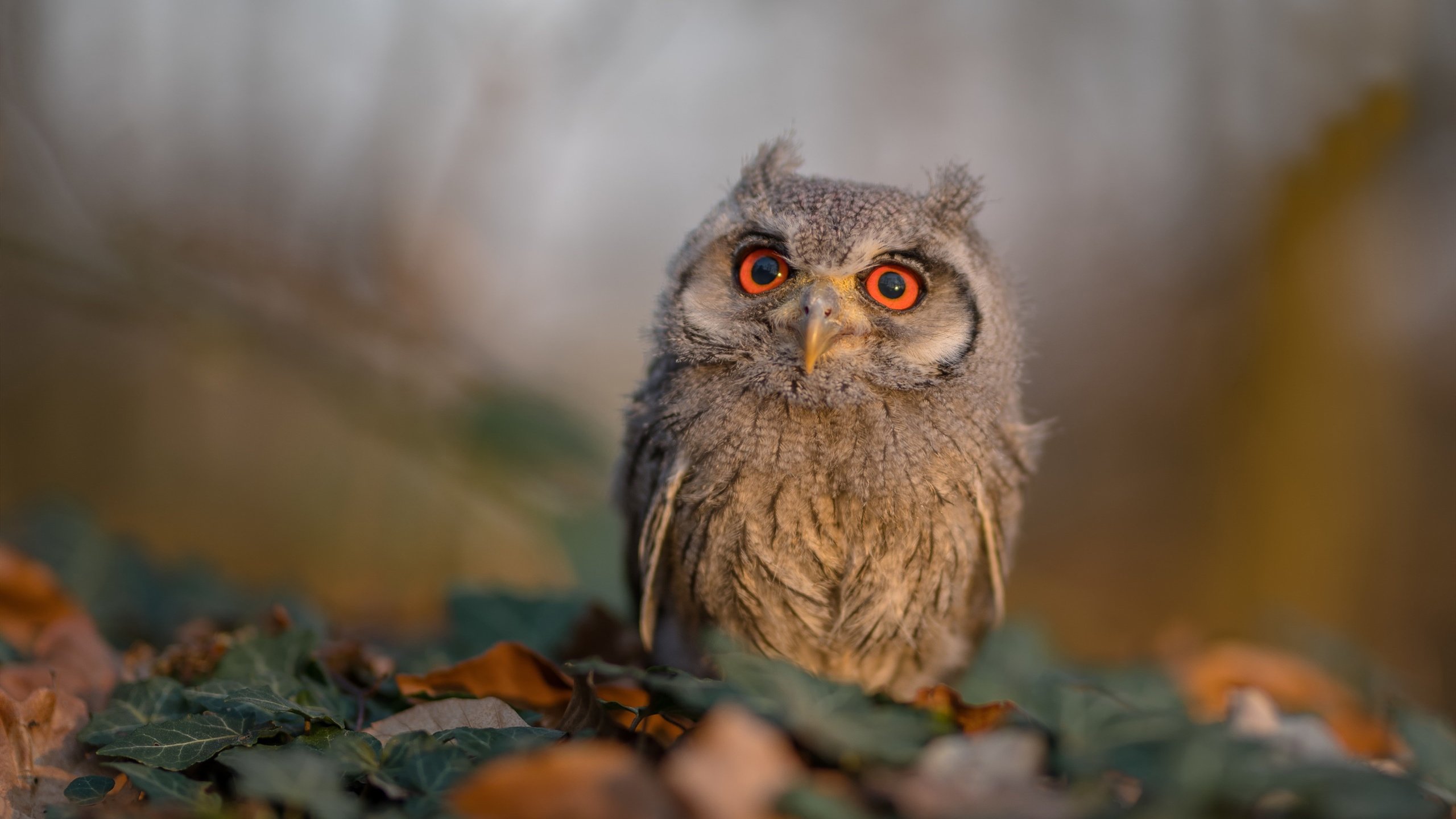 FB体育入口-对手在比赛中采取突击战术试图扳回比分，用对手的招式打败对手