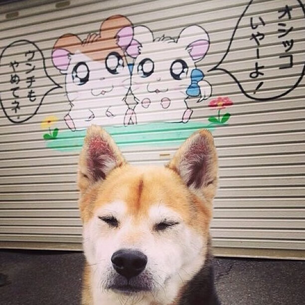 意大利选手状态火爆，准备挑战德国，意大利选手夺冠