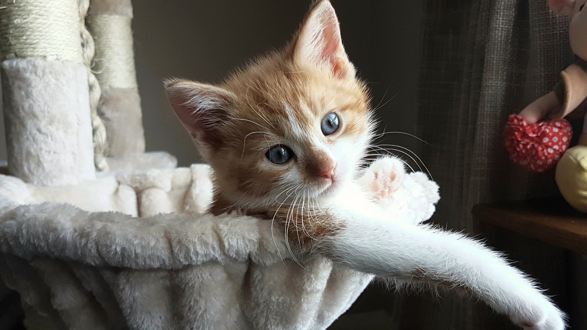 FB体育网站-“武汉马拉松：新一代跑者力争突破，挑战极限”