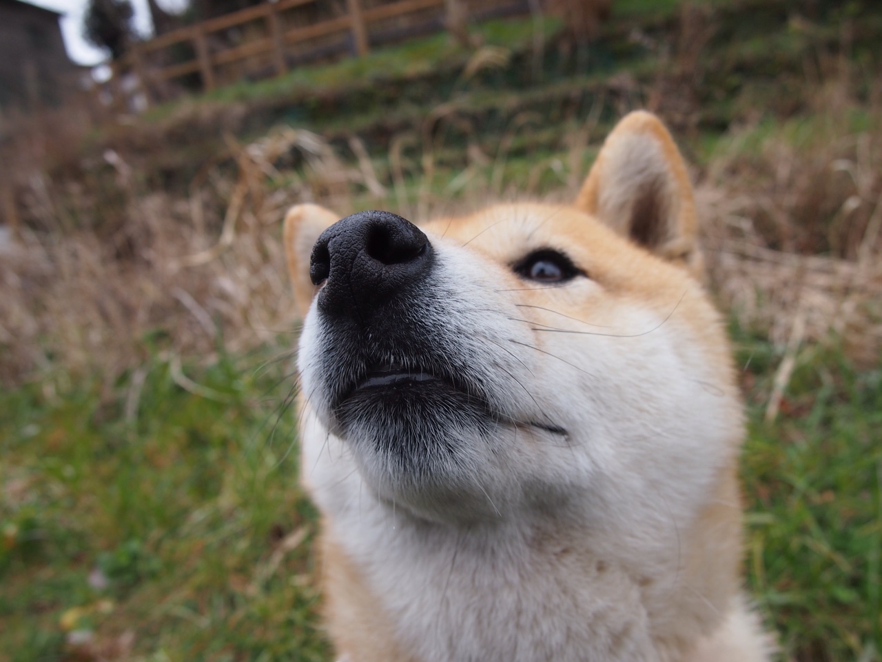世界杯预选赛中国青年队爆冷 球迷呼吁调整战术,世界杯预选赛中国队怎么样了