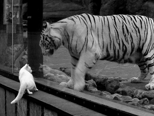 中国女篮夺冠后回归训练 备战下阶段赛事，中国女篮回国了吗